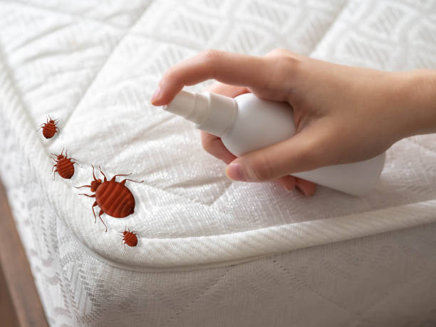 Best Pest Removal Services  in Pennville, PA