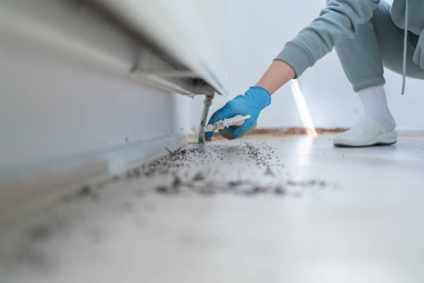 Best Mosquito Control Services  in Pennville, PA